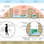 Benefits of open space in a city - Sheet3