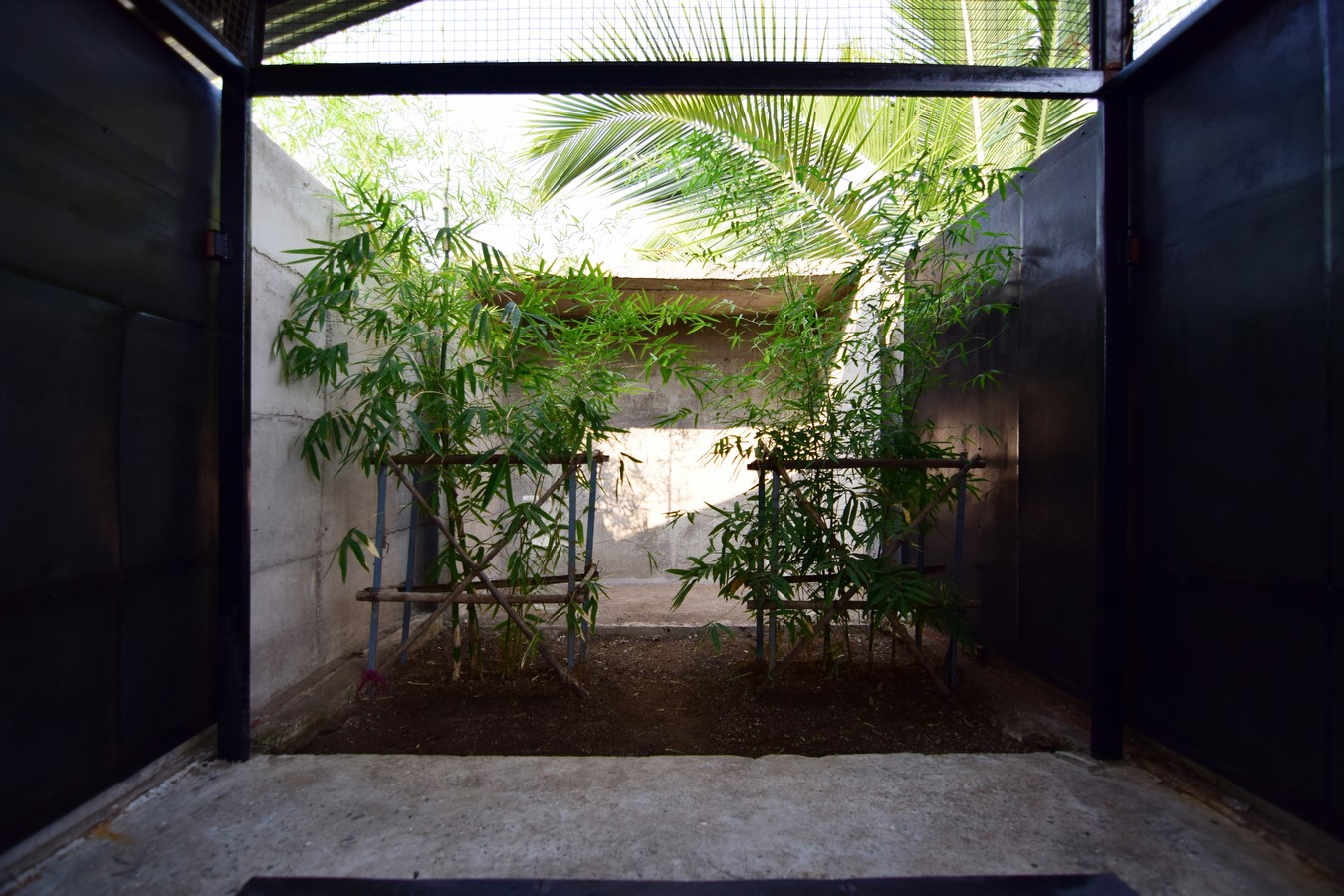 Lantern House Form And Culture By Atelier Shantanu Autade - Sheet7