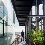 Tadeo By Proyecto Cafeina - Sheet3