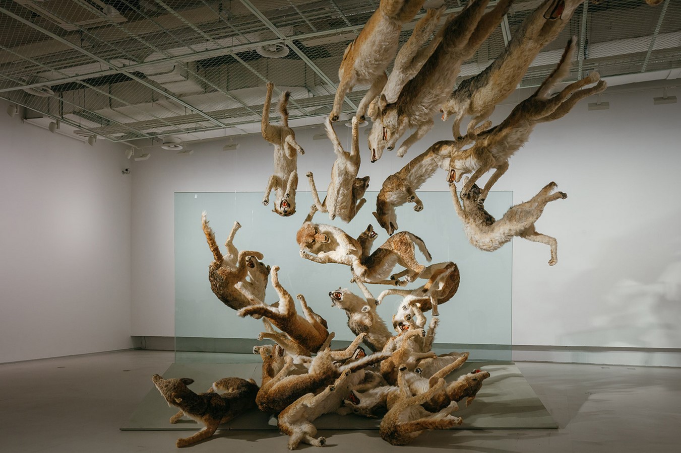 An Architectural review of Sky Ladder: The Art of Cai Guo-qiang - Sheet4