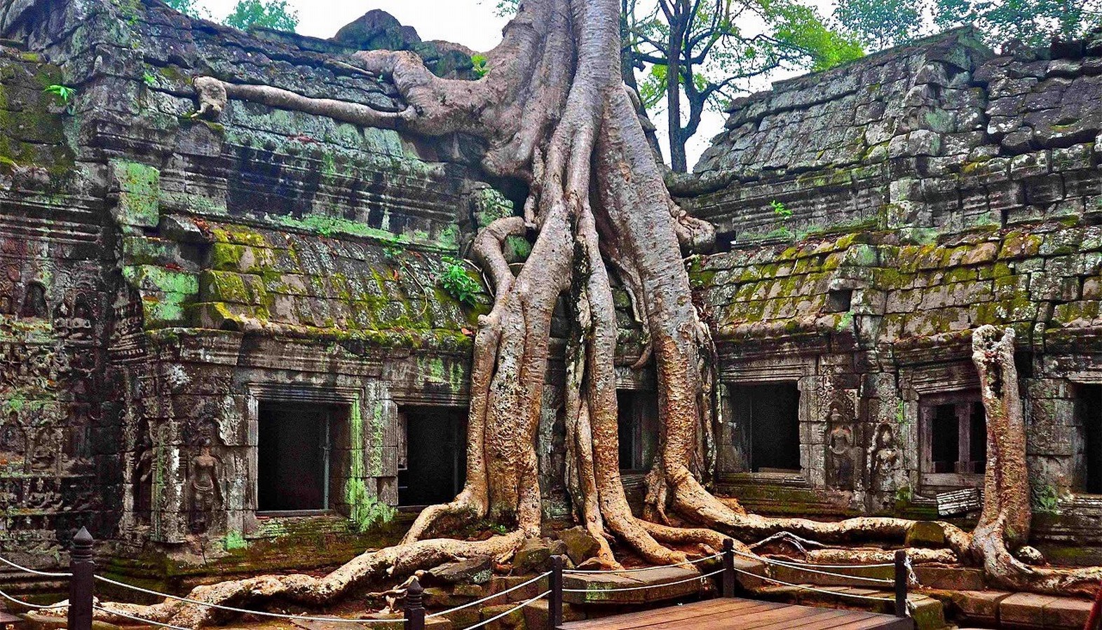 Ta Prohm Temple, Siem Reap, Cambodia - Sheet2