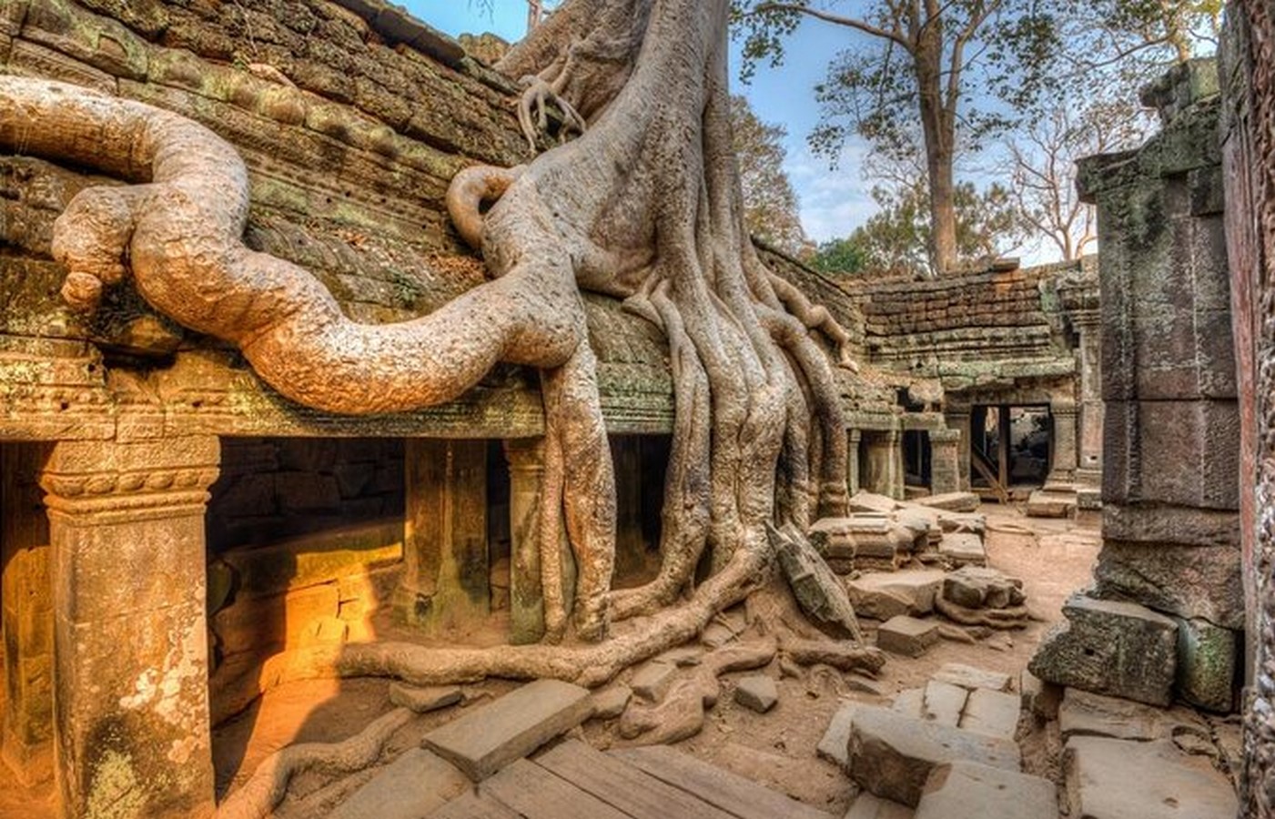 Ta Prohm Temple, Siem Reap, Cambodia - Sheet3