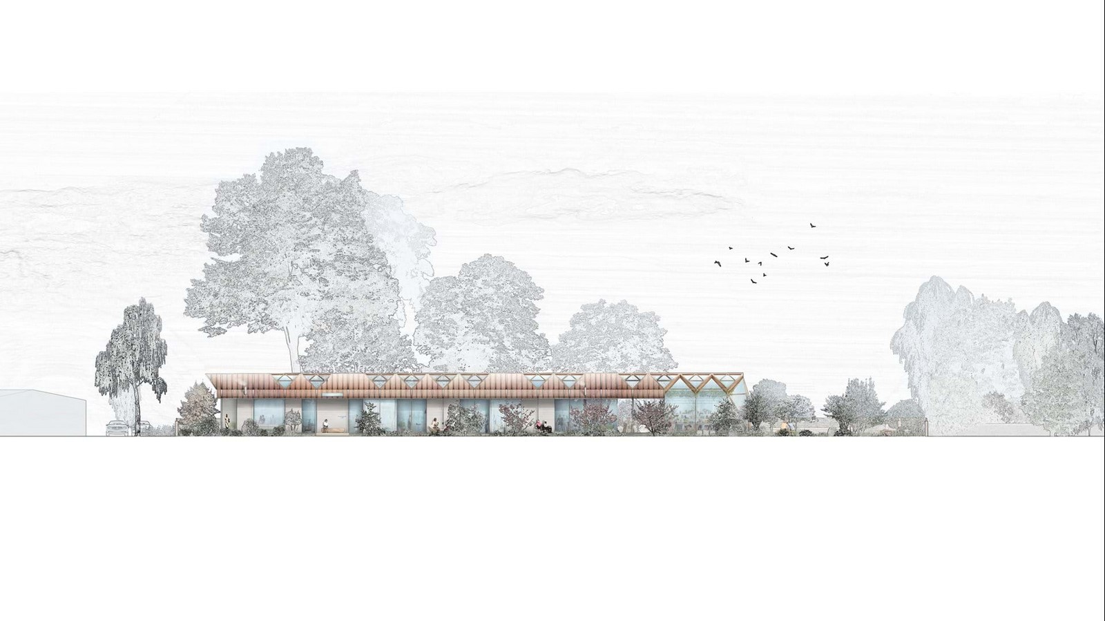 Maggie’s Manchester by Foster and Partners: When Architecture turns Deterministic - Sheet3