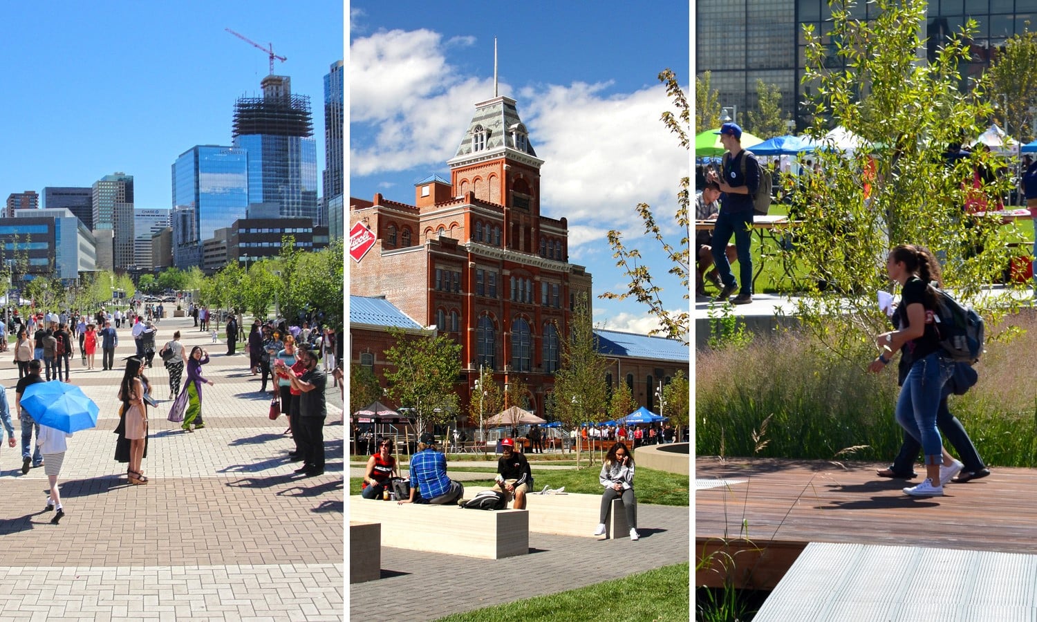 Wenk Associates Inc.- 15 Iconic Projects - Sheet49