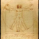 Book in Focus: The notebooks of Leonardo Vinci - Sheet2