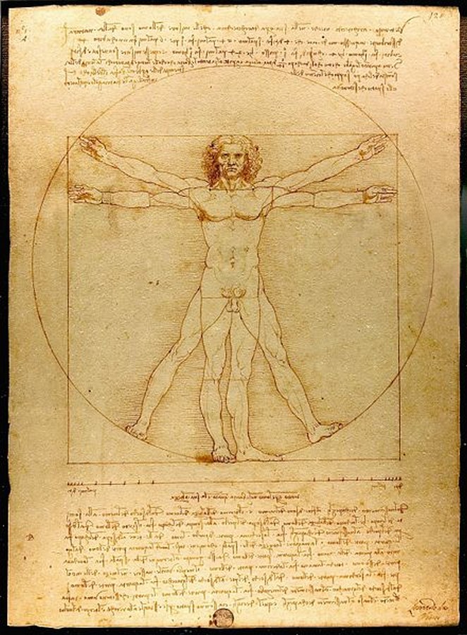 Book in Focus: The notebooks of Leonardo Vinci - Sheet2