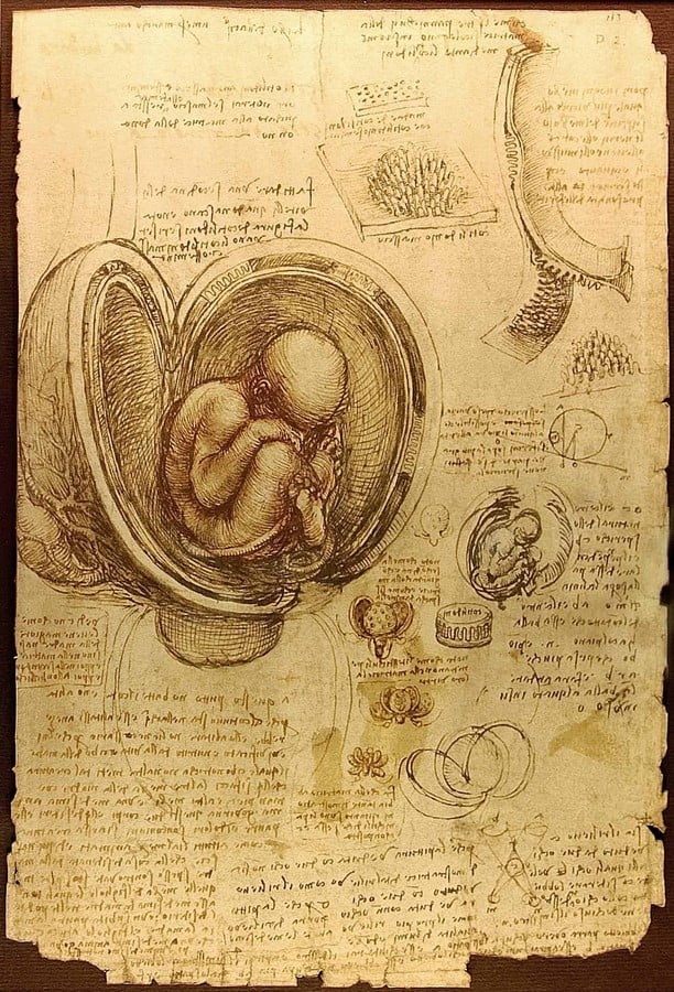 Book in Focus: The notebooks of Leonardo Vinci - Sheet3