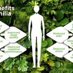 An overview of Biophilic architecture in India - Sheet2
