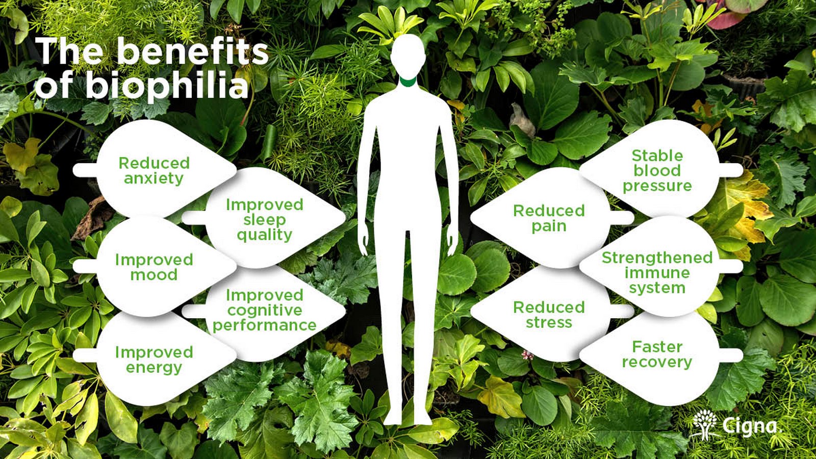 An overview of Biophilic architecture in India - Sheet2