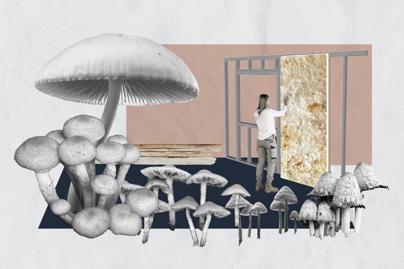 "Edible or, the Architecture of Metabolism” to be explored at Tallinn Architecture Biennale 2022 - Sheet