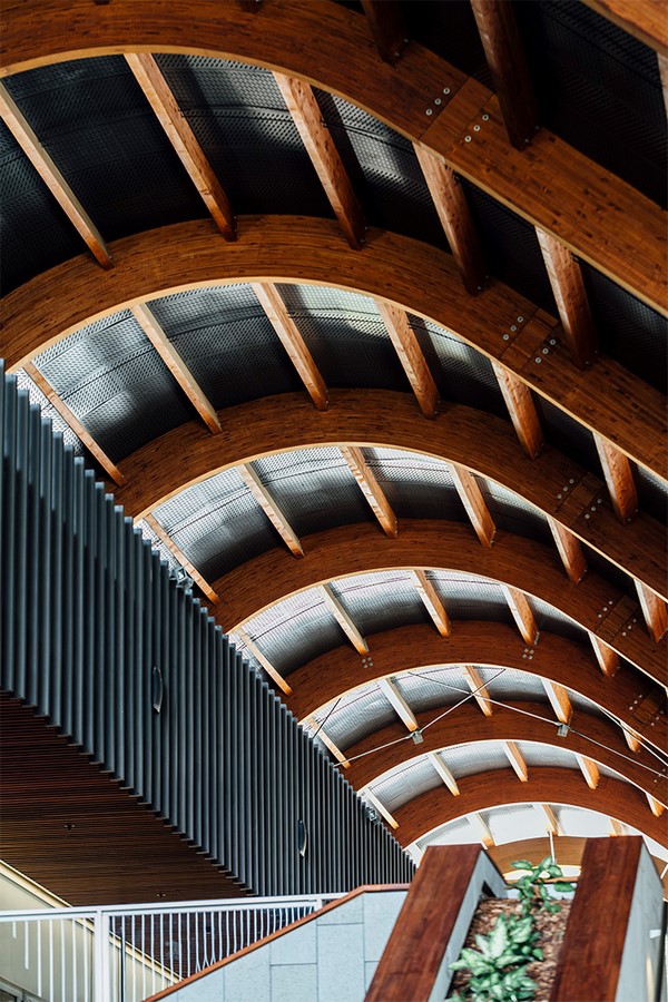 Timber Roof_©World Buildings Directory