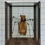 Life of an Artist: Louise Bourgeois - Sheet5
