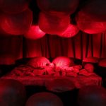 Life of an Artist: Louise Bourgeois - Sheet7
