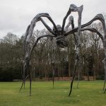 Life of an Artist: Louise Bourgeois - Sheet8