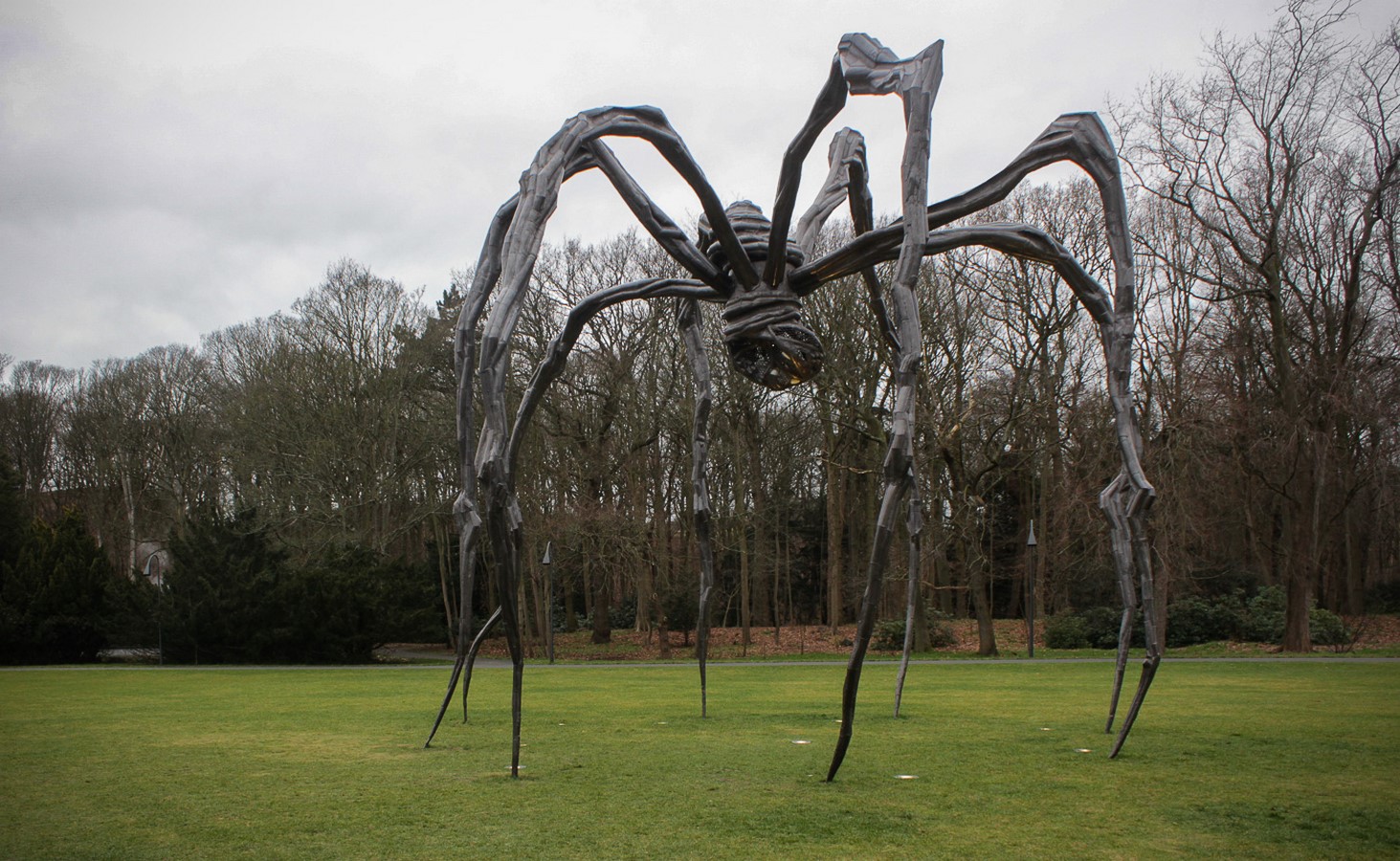 Life of an Artist: Louise Bourgeois - Sheet8