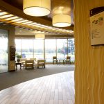 Carmina Wood Design- 15 Iconic Projects - Sheet39