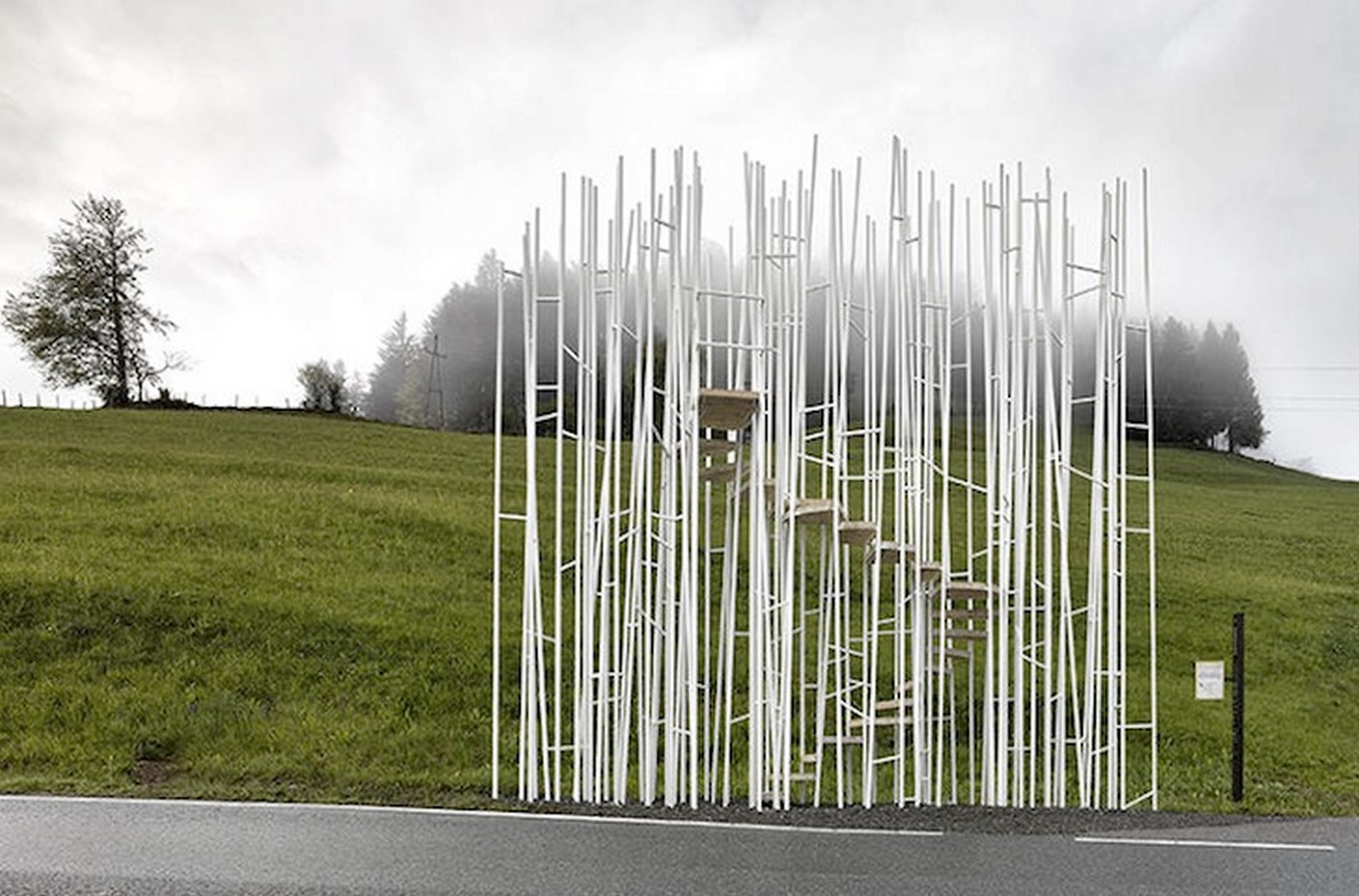 complimentingo_©yuri palwin