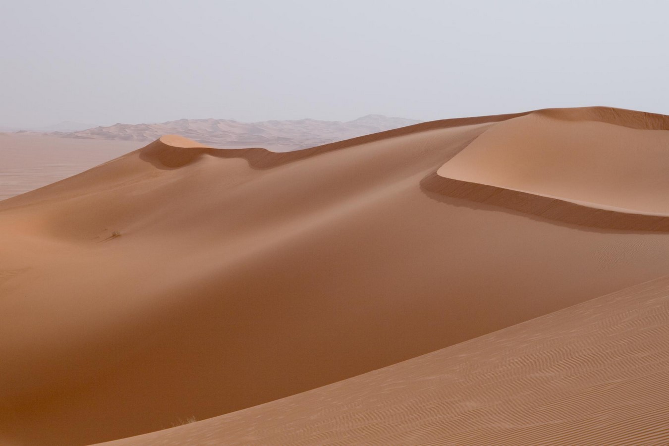 Desertification: The role of Architecture - Sheet1