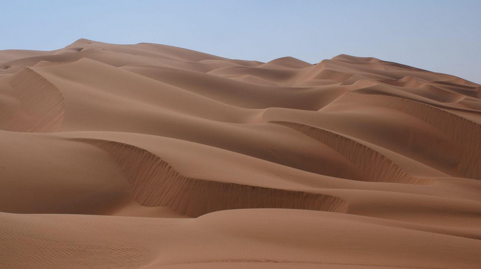 Desertification: The role of Architecture - Sheet2
