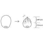 Nendo-15 Iconic Products - Sheet18