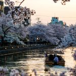 Urban pollution: Kyoto, Japan - Sheet13
