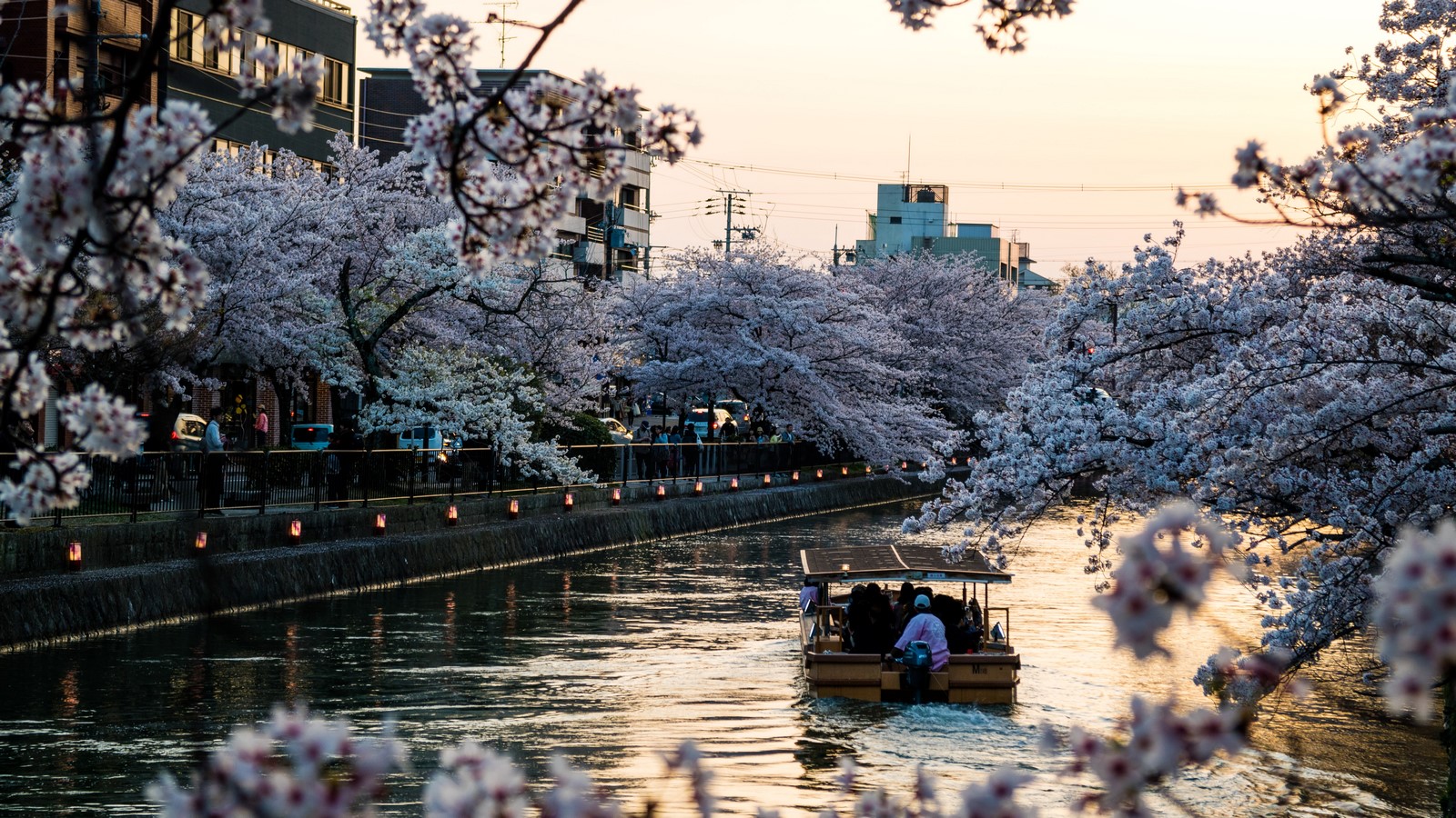 Urban pollution: Kyoto, Japan - Sheet13
