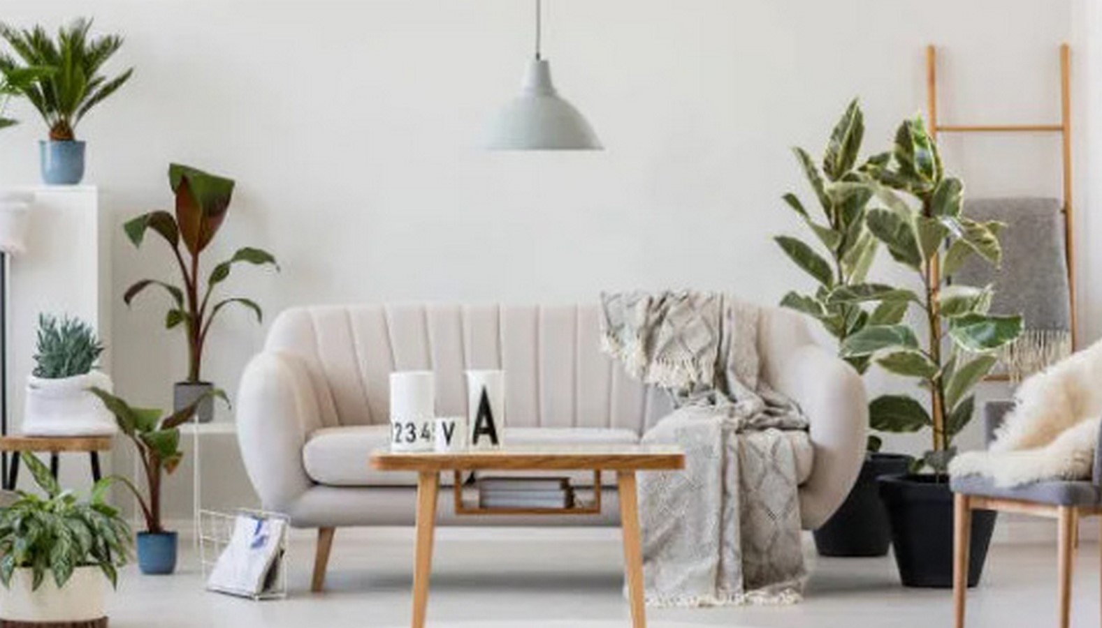 Interior Designers in Ranchi - Top 20 Interior Designers in Ranchi - Sheet3