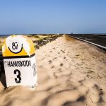 Timeline of restoration: Dhanushkodi - Sheet5