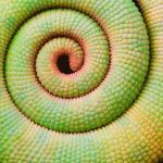 The Elements of Parametric Design - Sheet15