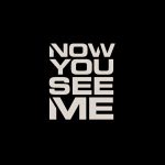 An architectural review of Now You See Me - Sheet2