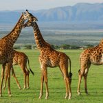 10 UNESCO World Heritage Sites in Africa - Sheet13