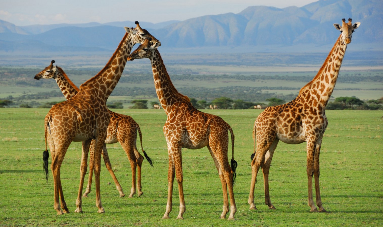 10 UNESCO World Heritage Sites in Africa - Sheet13