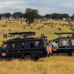 10 UNESCO World Heritage Sites in Africa - Sheet14
