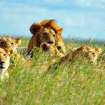 10 UNESCO World Heritage Sites in Africa - Sheet15