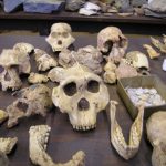 10 UNESCO World Heritage Sites in Africa - Sheet20