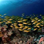 10 UNESCO World Heritage Sites in Africa - Sheet29