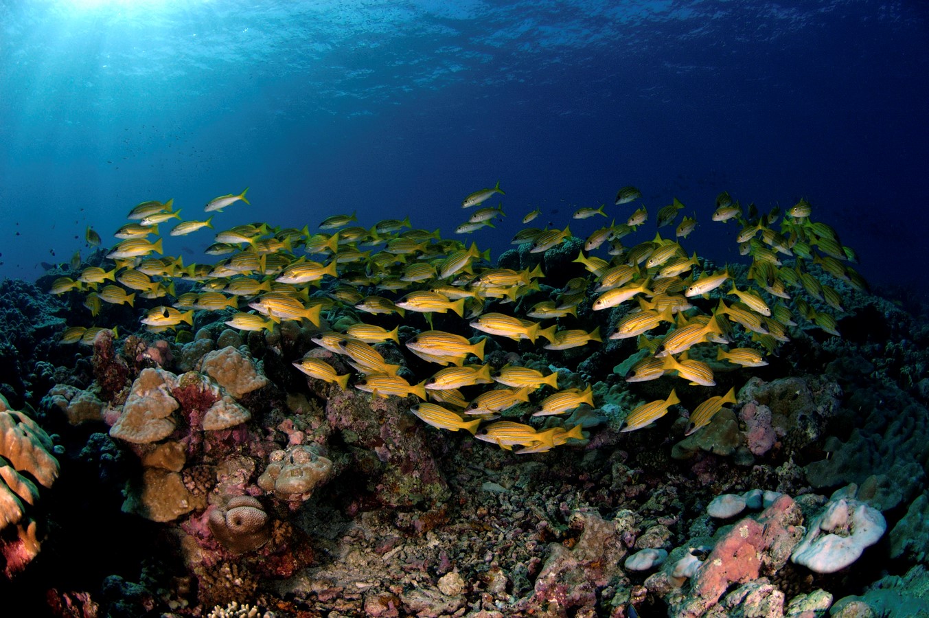 10 UNESCO World Heritage Sites in Africa - Sheet29