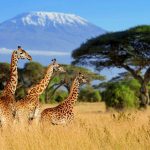 10 UNESCO World Heritage Sites in Africa - Sheet8