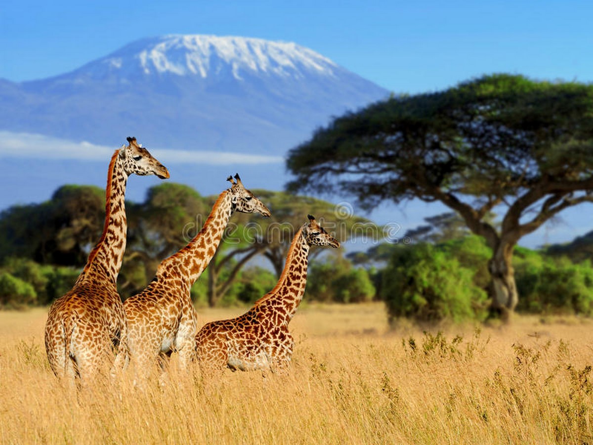 10 UNESCO World Heritage Sites in Africa - Sheet8