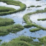 An overview of Ramsar Convention - Sheet2