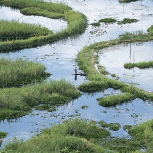 Tapak Ramsar An overview of Ramsar Convention - RTF | Rethinking The Future