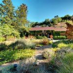 An inside look at the houses owned by Chris Pine - Sheet11