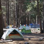 Camping in Yosemite: Everything You Should Know - Sheet8