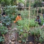 Community resilience through architecture - Sheet4