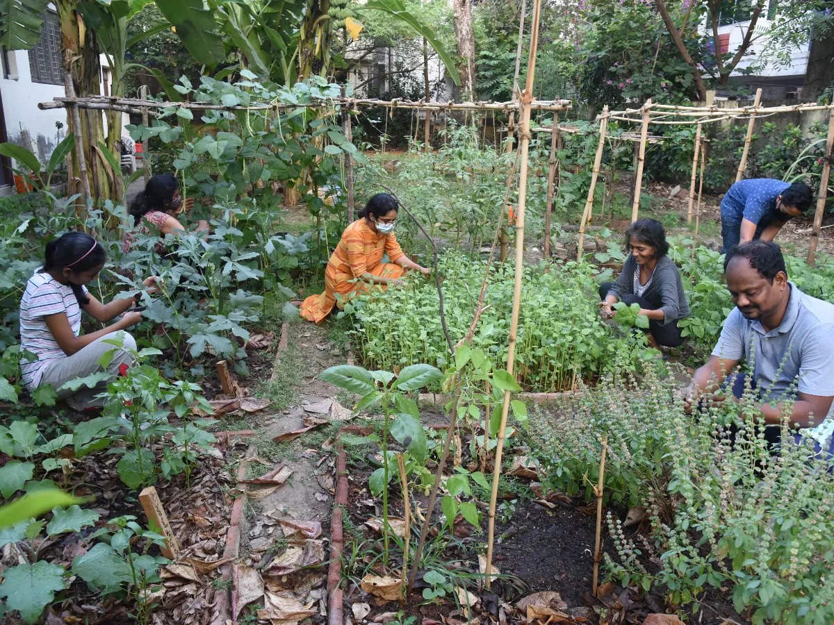 Community resilience through architecture - Sheet4