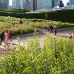 17 Best Landscape Architects & Their Work - Sheet7