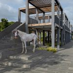 Jetty Garden by ARUR - Sheet10