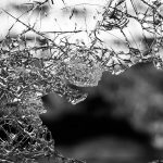 Different Types of Glass, Price, Use in Construction - Sheet5