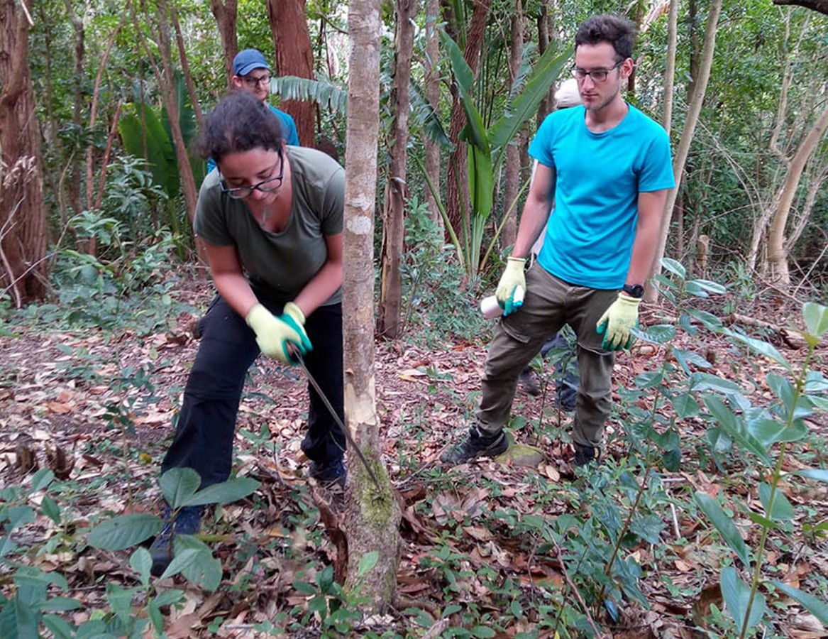 List of Programs for students who want to pursue Urban Conservation - Sheet7