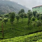15 Places to visit in Ooty for Travelling Architect - Sheet22